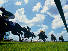 The Grand National, inside rail