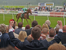 The Grand National, winner
